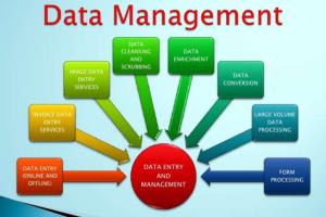 Portfolio for Online Data Management Services